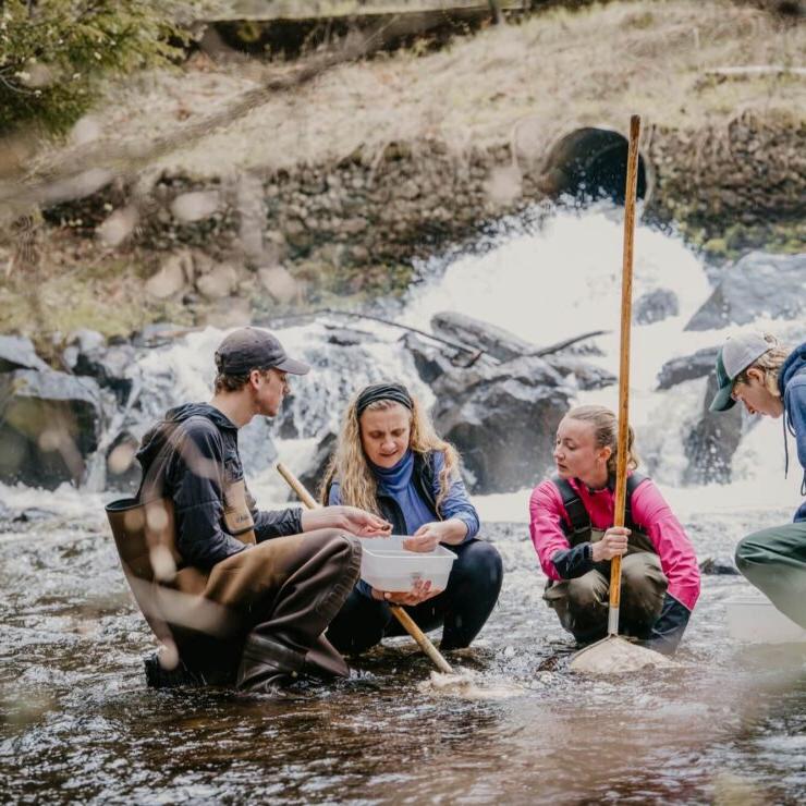 adirondack watershed institute